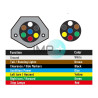 Conector eléctrico hembra 7 vías